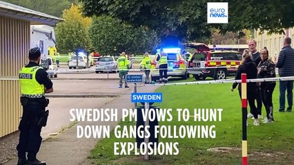 Sweden PM asks military to help tackle violent gangs