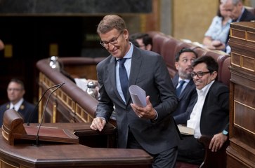 Contundente discurso de Feijóo a Sánchez en el Congreso: "Suba aquí" y diga la verdad