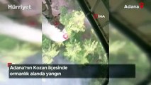 Adana'nın Kozan ilçesinde ormanlık alanda yangın