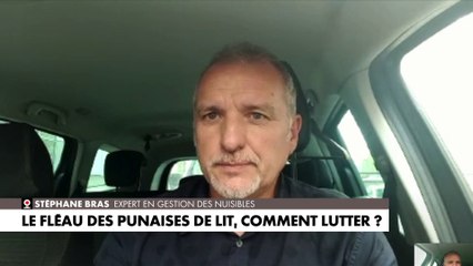 Stéphane Bras : «On est le moyen de transport de la punaise de lit et son garde-manger»