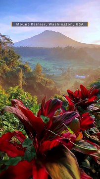 Mount Rainier, Washington, USA