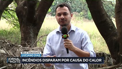 Calor extremo agrava incêndios florestais no Brasil