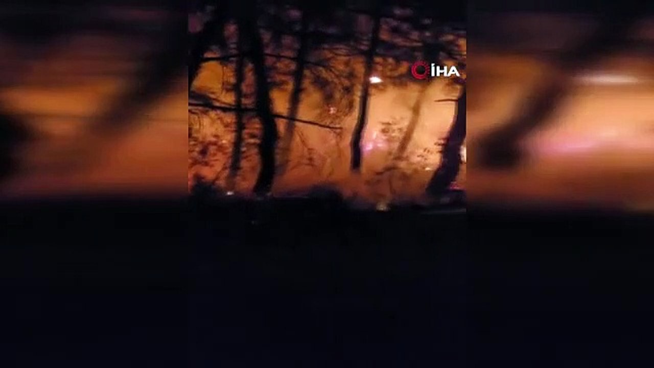 Er versuchte, sein Haus und den Wald niederzubrennen