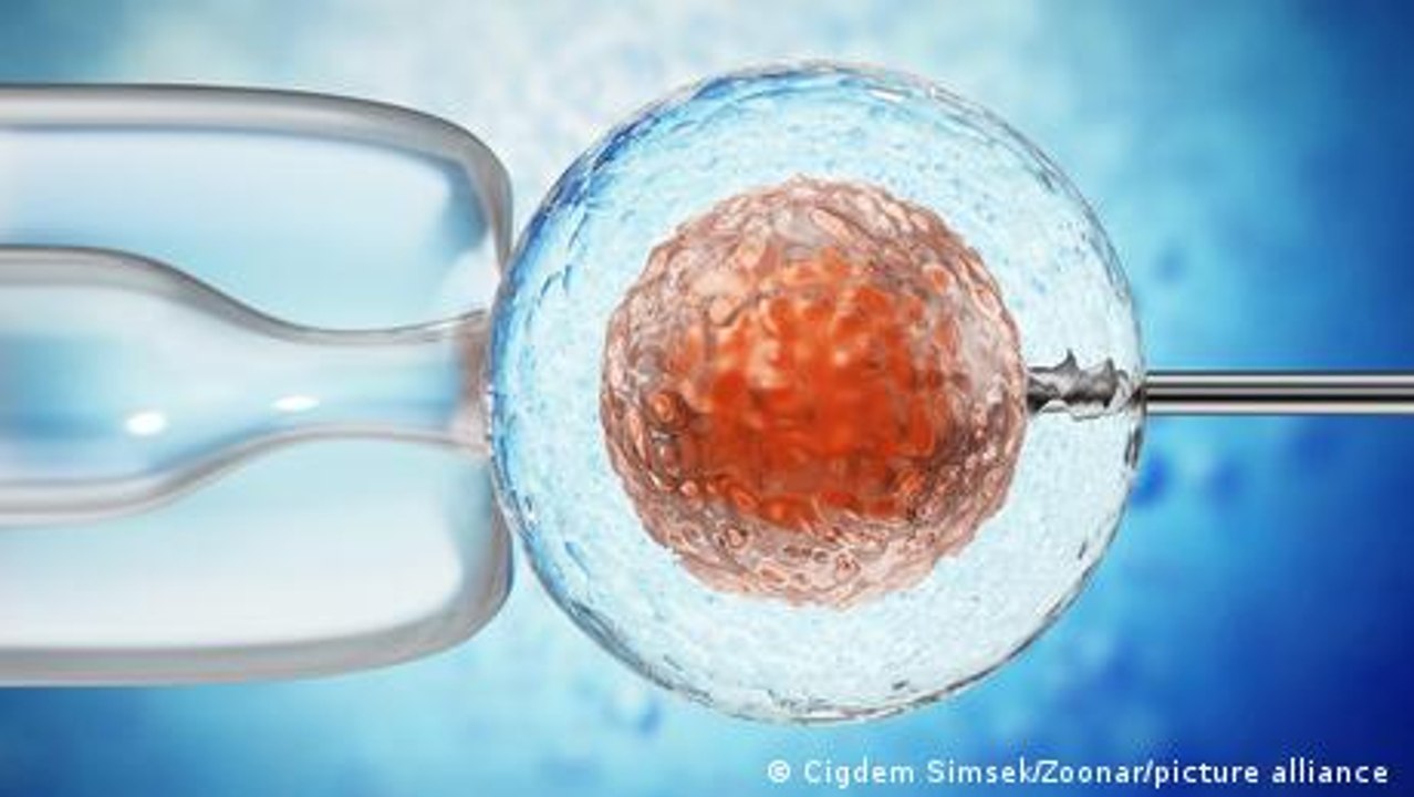 Wahlkampfstreit in Polen um künstliche Befruchtung