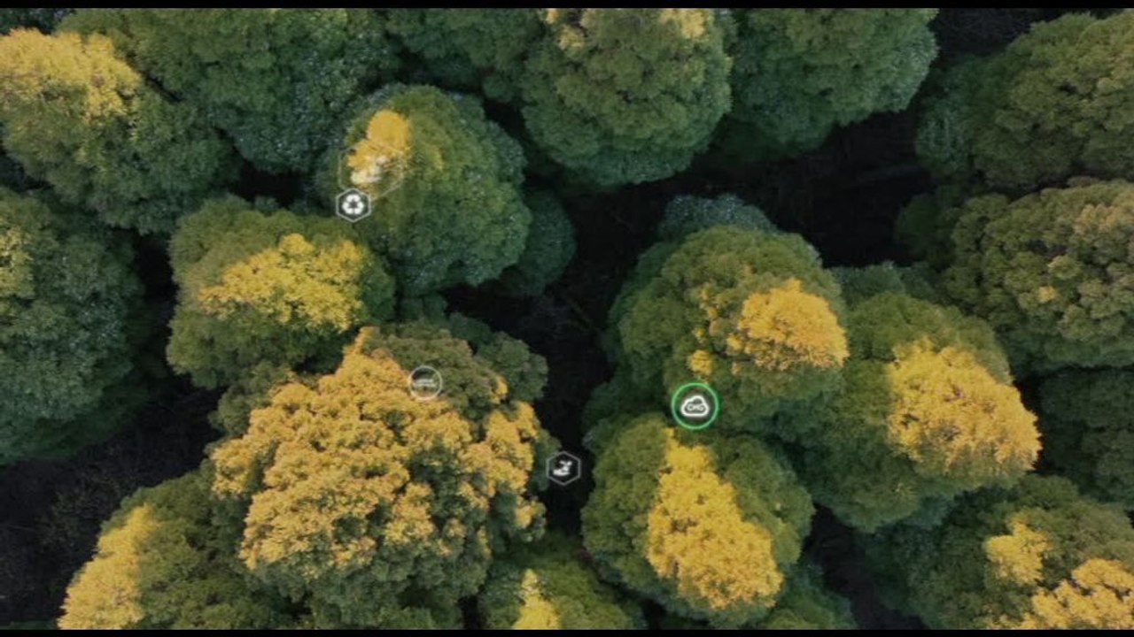 Farmaceutica, il sito di Eli Lilly Italia a difesa dell'ambiente