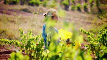 Rioja, la tierra de los mil vinos Tráiler