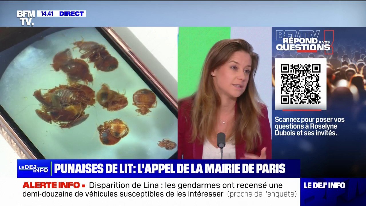 Pourquoi cette invasion de punaises de lit? D'o...