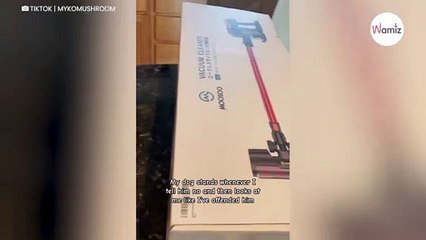 Elle a l'audace de dire non à son chien : sa réaction fait hurler de rire 2,5M de personnes (vidéo)