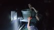 Découverte Nausicaa dans les pas d'un soigneur - les méduses