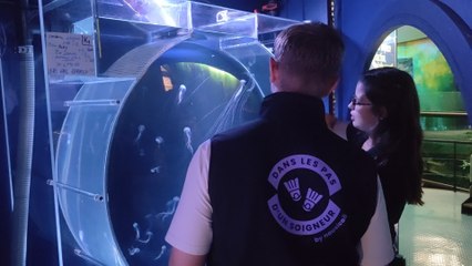 Découverte Nausicaa dans les pas d'un soigneur - nourrir les méduses