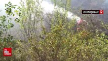Gümüşhane'de yangın:2 hektar kül oldu