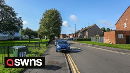 Bully type dog tasered and put in wheelie bin by police after attacking two people in the street