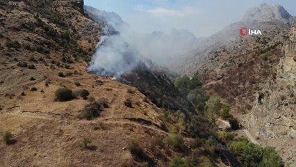 Gümüşhane'de örtü yangını: 2 hektarlık alan küle döndü