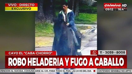 Insólito: robó la recaudación de una heladería... ¡y escapó a caballo!