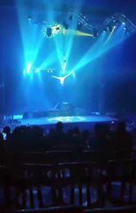 Trapezistas sofrem queda impactante durante apresentação