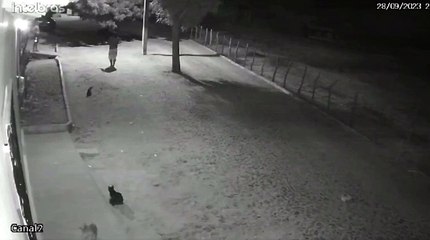 Técnica de enfermagem é assassinada a tiros pelo cunhado