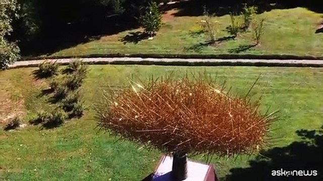 Banca Ifis, inaugurato un parco di sculture e di bellezza