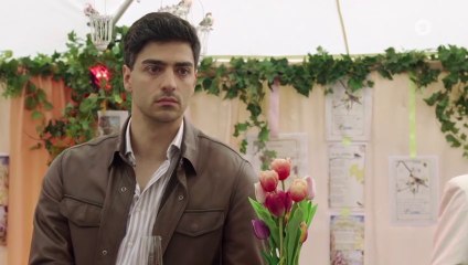 Sturm der Liebe - Als Team verpflichtet (4115)