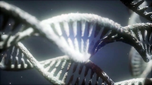 Understanding Hereditary Traits Exploring Genetic Inheritance