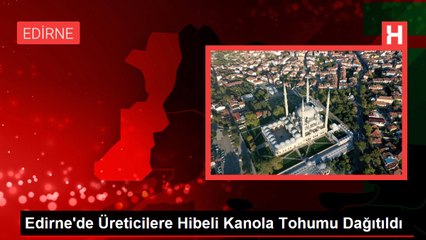 Edirne'de Üreticilere Hibeli Kanola Tohumu Dağıtıldı