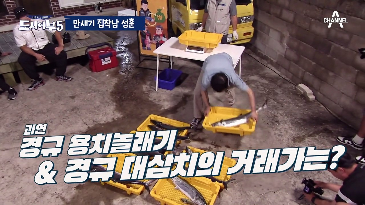 [#도시어부5] 그쪽도 만새기 싫어하세요..? 만새기가 안쓰러운 낚린이 방성훈(T_T...