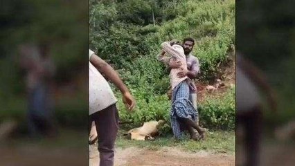 కరీంనగర్: గొర్రెలు మృతి.. కన్నీరు తెప్పిస్తున్న రైతు లచ్చయ్య రోదనలు