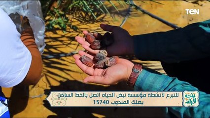 جهود مؤسسة "نبض الحياة" في بدء المرحلة السادسة من "وقف النخيل"
