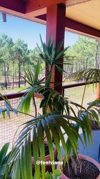 La mannequin qui est séparée du père de sa fille s'y est envolée avec un célèbre rappeur, auprès de qui elle est très complice depuis un petit moment maintenant.Adriana Karembeu et Stomy Bugsy profitent d'un beau voyage ensemble. Instagram