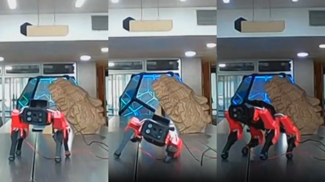 Tecnología inclusiva: perro robot brindará asistencia a personas en condición de discapacidad