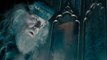 VIDEO: Les stars de « Harry Potter » rendent hommage à Sir Michael Gambon