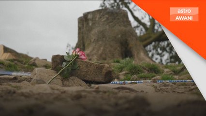 Remaja ditahan tebang pokok bersejarah di Hadrian's Wall