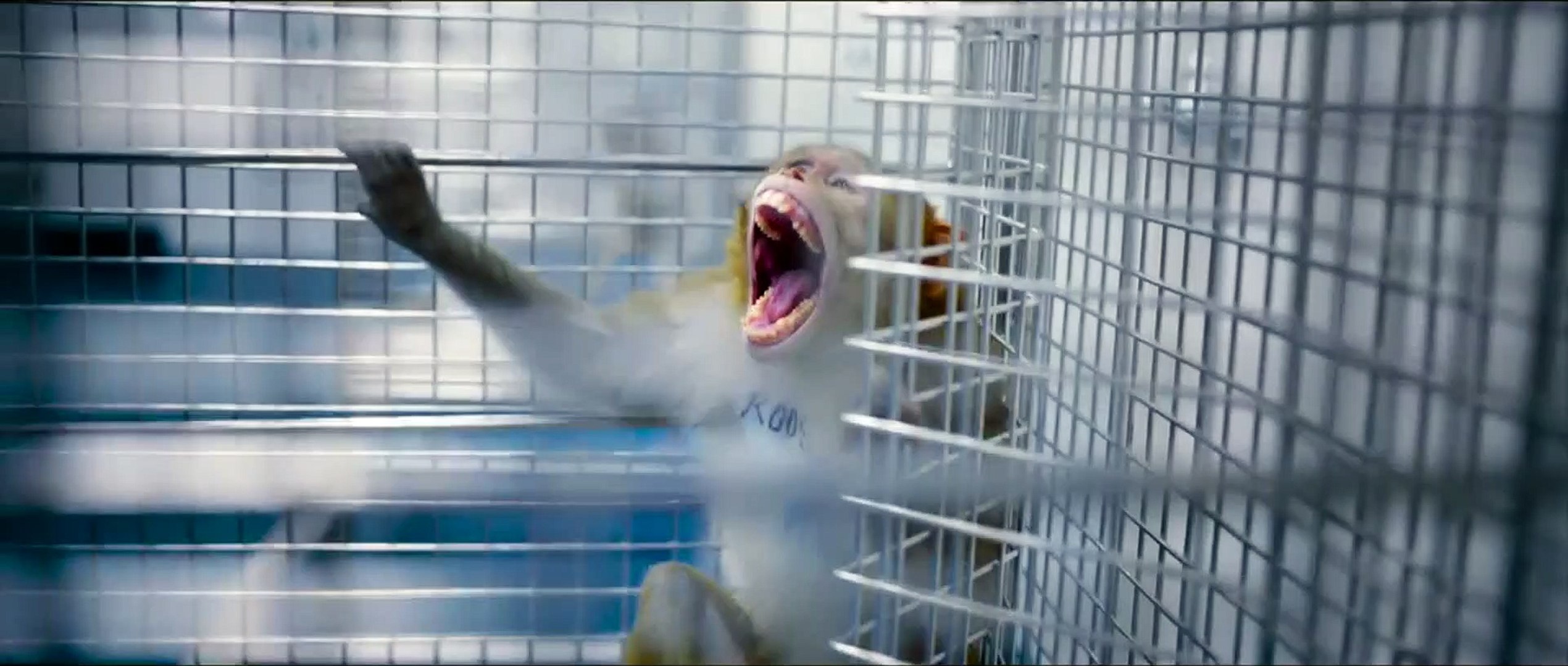 The Vaccine War FullMovie video Dailymotion
