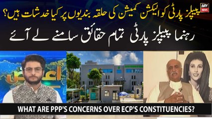 What are PPP's concerns over ECP's constituencies?