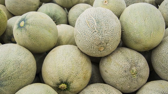 Cantaloupe Was Just Recalled Nationwide Due to Potential Salmonella Risk