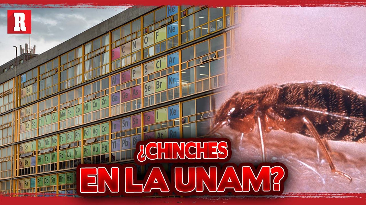 ALUMNOS de la FACULTAD  de Química se quejan de chinches