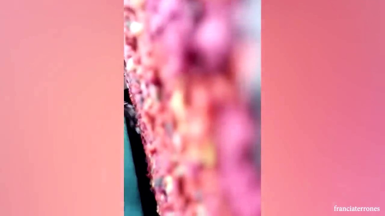 animal funny video61