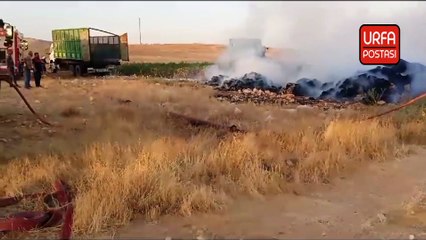 Şanlıurfa'da tonlarca pamuk yandı