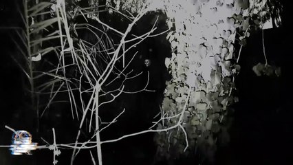CAMBIO DE SUERTE PARTE I (Historias De Brujería)