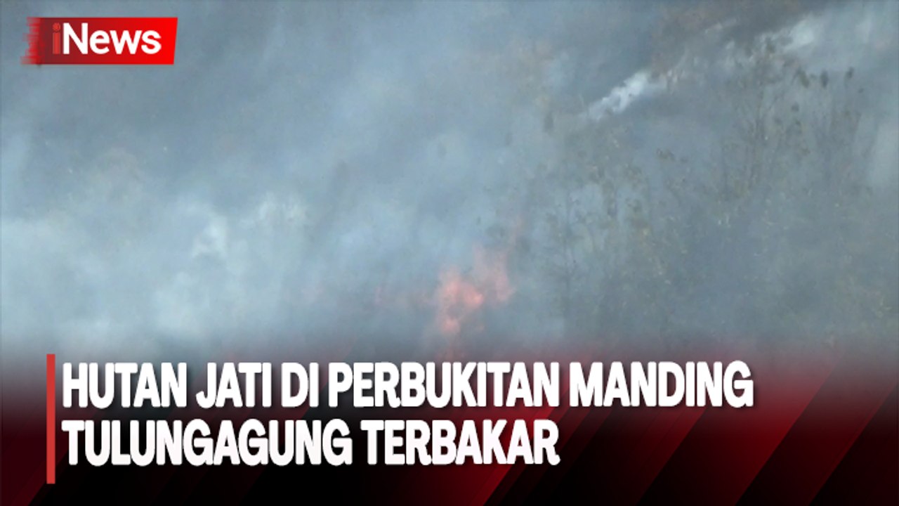 Kawasan Hutan Jati di Perbukitan Manding Tulungagung Terbakar