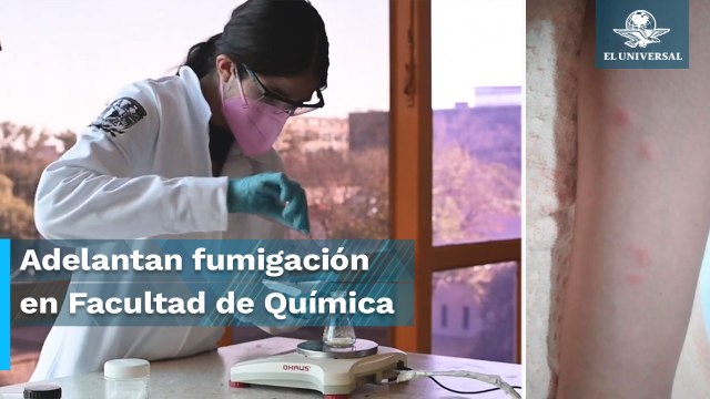 Por supuesta plaga de chinches, suspenden de clases en la Facultad de Química