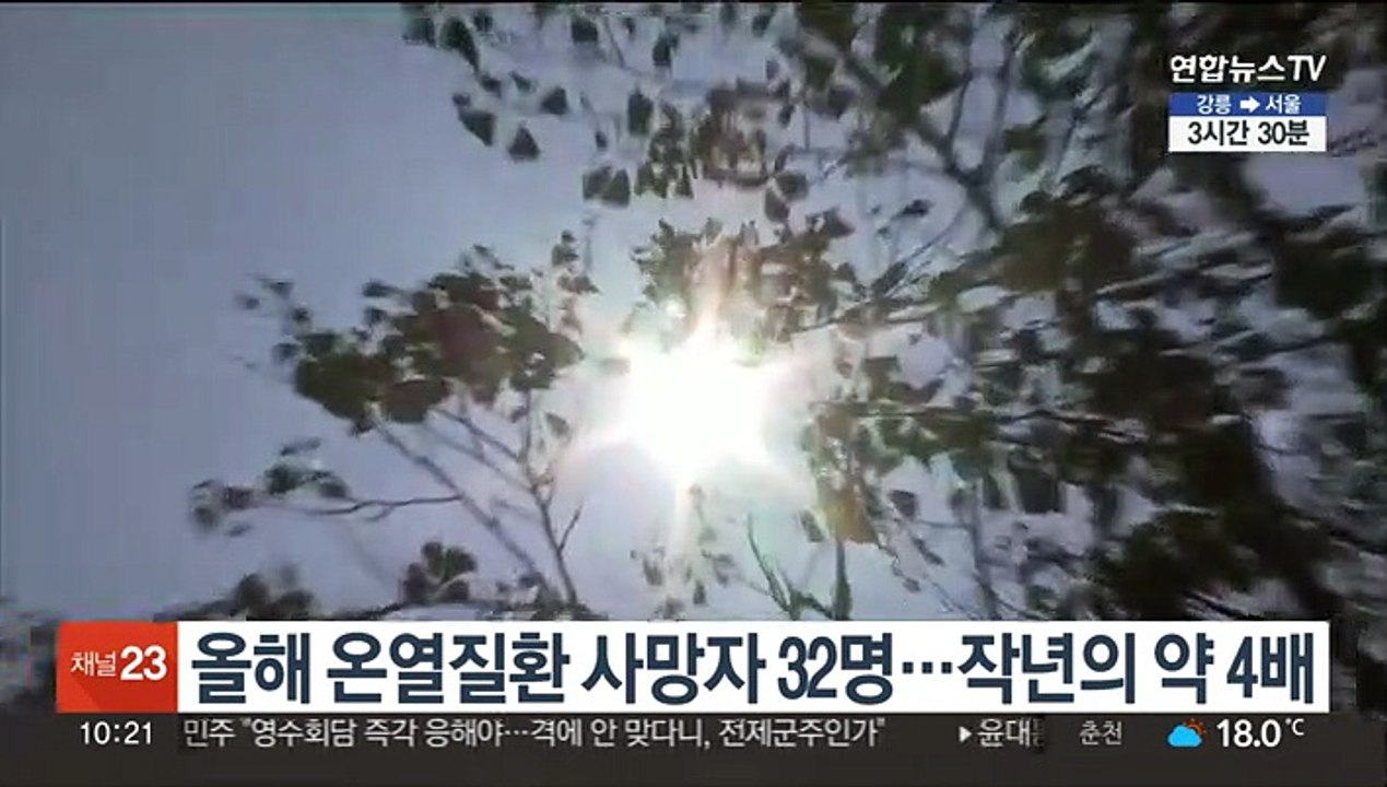 올해 온열질환 사망자 작년의 약 4배…2018년 이후 최다