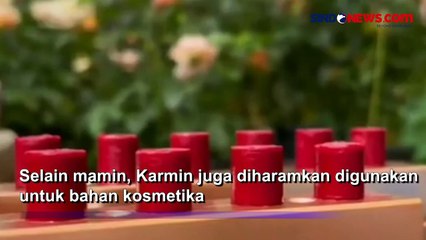 PWNU Jatim Haramkan Mamin dan Kosmetika Berbahan Pewarna Karmin