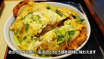 Japanese cuisine - Street food - udon noodles