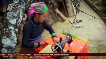 Không ngại cưới, chỉ cần một lý do Tập 4