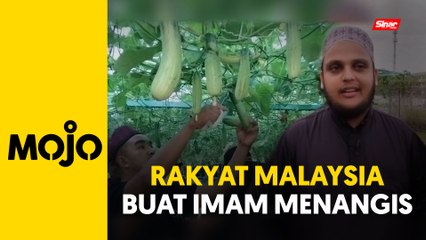 Terharu 400 kilogram timun terjual dalam 15 minit