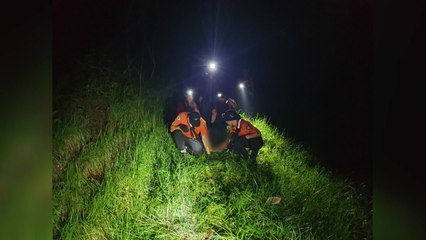 추석에 고향 찾아 버섯 채취 나섰던 60대 남성 숨져 / YTN