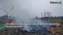10 Hektare Lahan di Jambi Hangus Setelah 2 Hari Terbakar