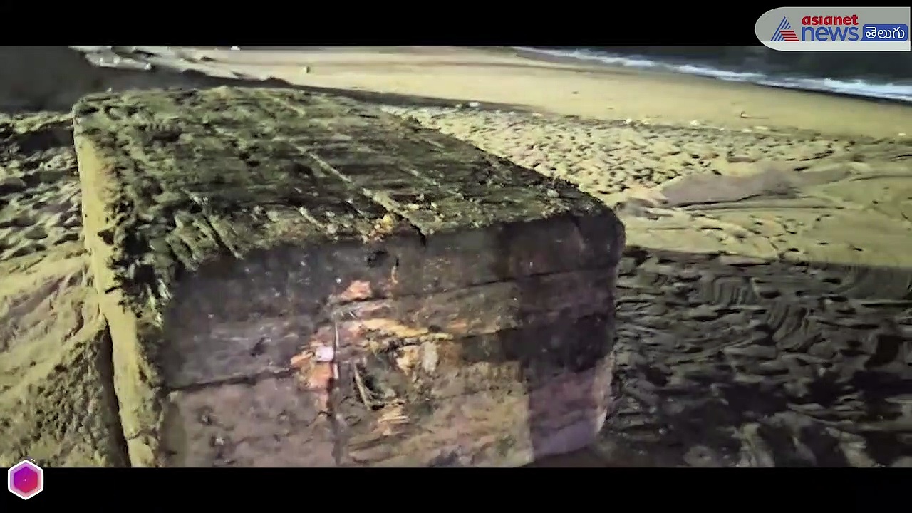 విశాఖ బీచ్ లో ఒడ్డుకు కొట్టుకువచ్చిన అరుదైన పెద్ద పెట్ట