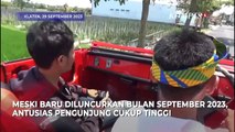 Sensasi Naik Mobil Tua Klasik Keliling Desa Ponggok Sambil Menikmati Pemandangan Merapi