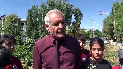 Okulun bahçesinde kalan kuzular öğrencilerin Maskotu oldu